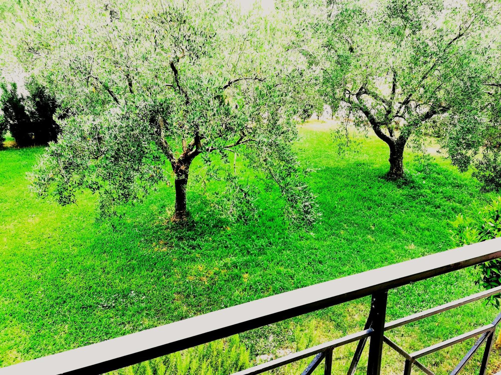 Giorgos Apartments Skála Foúrkas 외부 사진